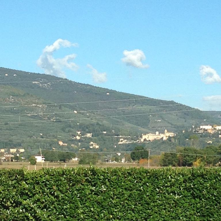 Maison d'hôtes Le Ghiande à Spello Extérieur photo